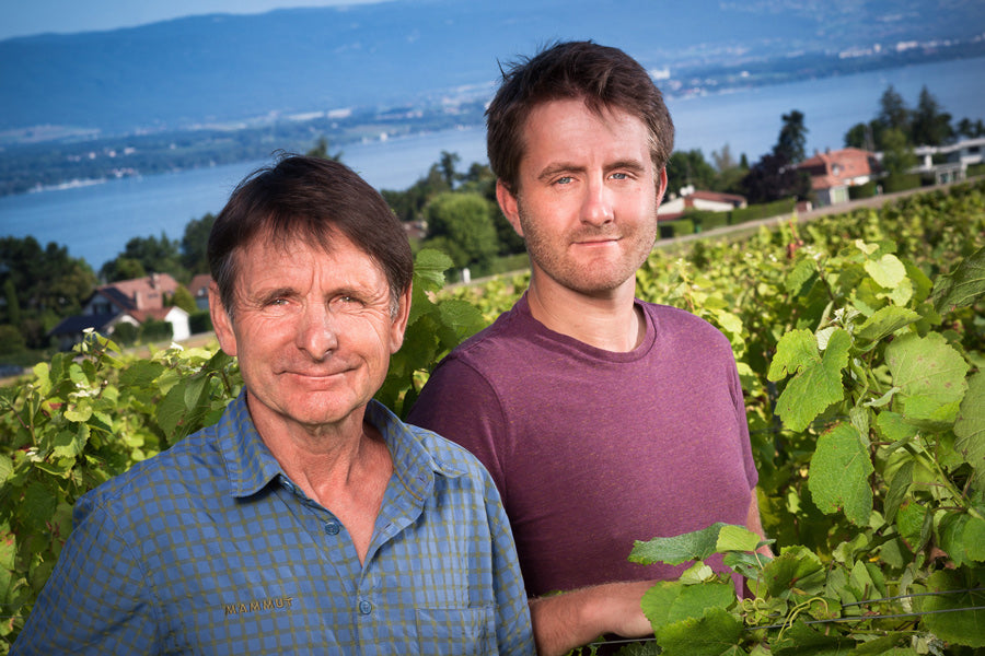 Domaine Villard et Fils : La passion du vin et du terroir